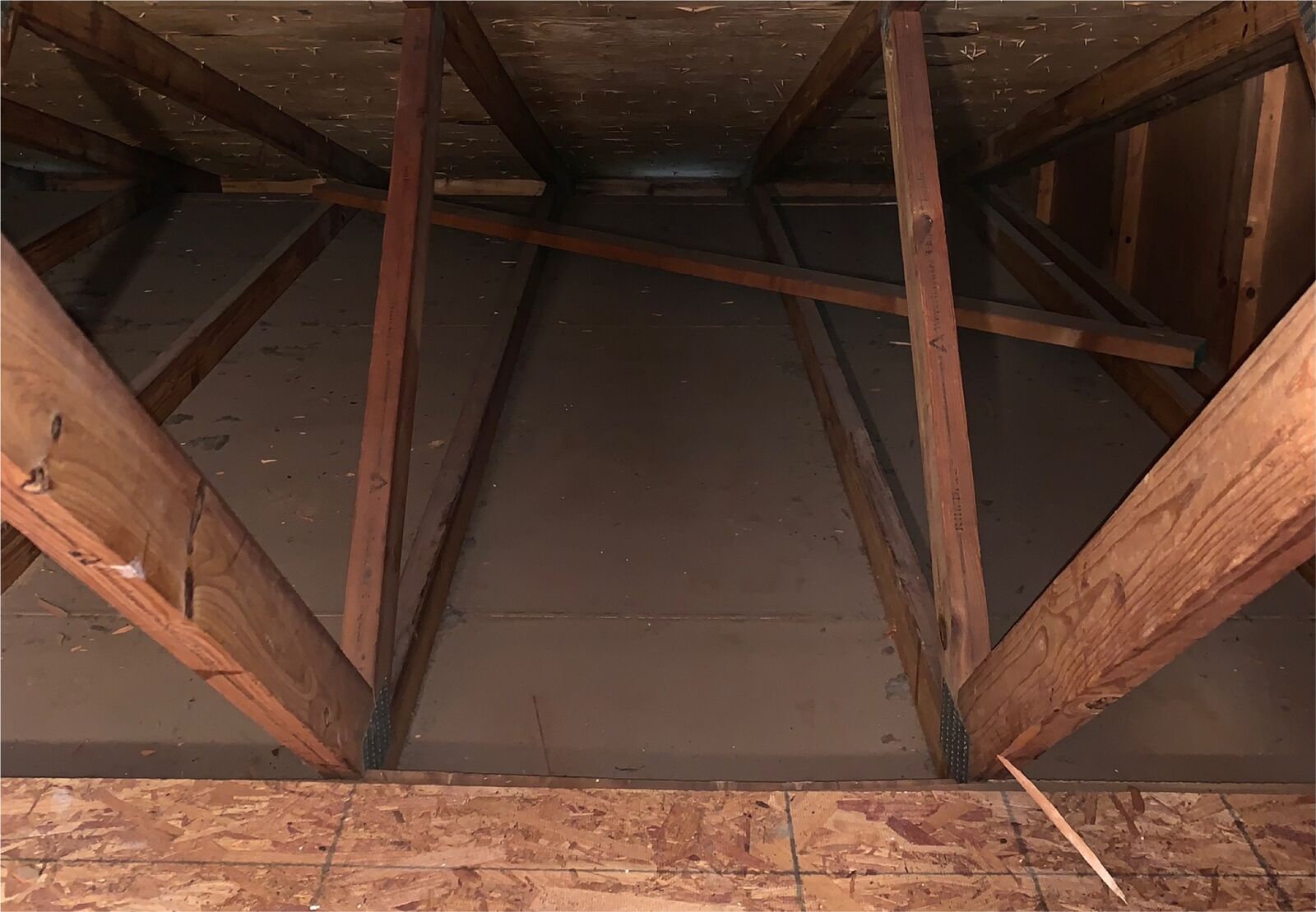 Before: Attic cleared of contaminated insulation in Portsmouth, prepped for Pest Guard installation